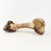 Bonez, Dino Bone, 18"