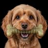 Tough Bone Nylon Chew Bone | Ultra-Durable Dog Toy For Aggressive Chewers | Sodapup