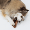 Bonez, Pig Ear Dog Treat, , 25 Per Bag