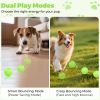 Interactive Dog Ball Toy With Remote Control â€“ Silent Motion Activated Rolling & Bouncing