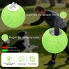 Interactive Dog Ball Toy With Remote Control â€“ Silent Motion Activated Rolling & Bouncing