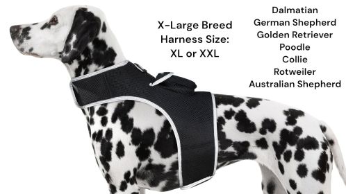 Waterproof Realtime Mini GPS Dog Tracker Rechargeable Pet Locator NEW Size:M
