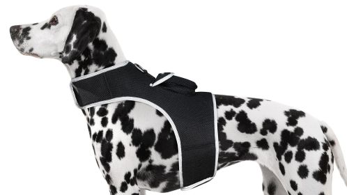 Wireless Pocket Surveillance Waterproof GSM GPS Trackers for Dogs NEW Size:M