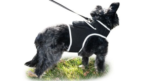 Accurate Realtime Dog Tracking with Pet Tracker Waterproof GPS Pet Locator Size:S