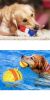 Pet Chew Toy Interactive Treat Toy Squeaky Bounce Toy With Rope For Aggressive Dog Chewers