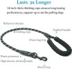 Dual Dog Leash; Double Dog Leash; 360 Swivel No Tangle Walking Leash; Shock Absorbing Bungee For Two Dogs